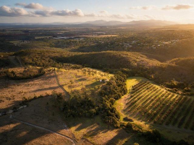 32 Acres | Privacy & Space | Mountain Views