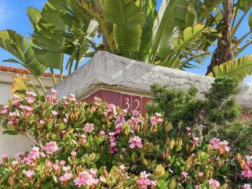 Redwood Shores, Foster City, San Mateo CCD San Mateo County California, San Mateo County, California, USA