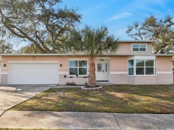 3309 Briarwood Ln, Safety Harbor, FL 34695 | MLS #TB8509