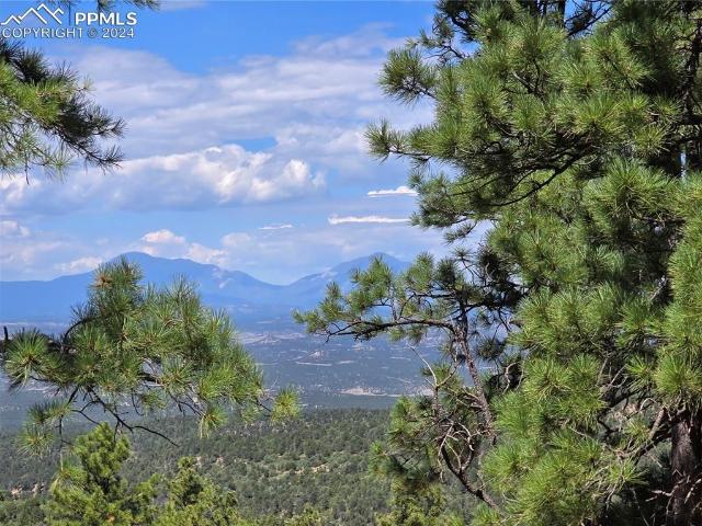33036 Meadow Ridge Ln, Trinidad, CO