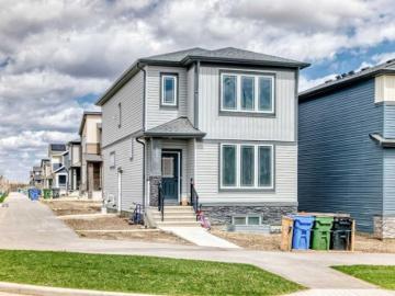 Calgary, Alberta - Cellar