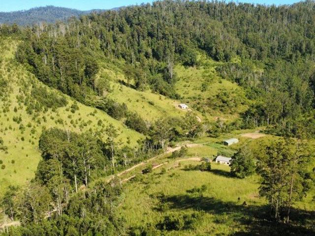330 ACRES, 3 LARGE SHEDS, CREEKS & SPRING FED GULLIES