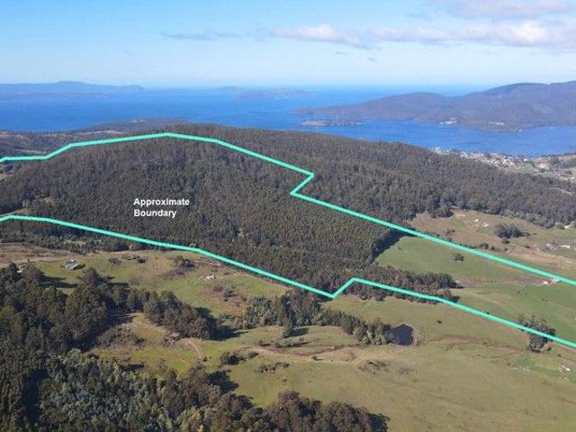 330 Acres Farm & Forest