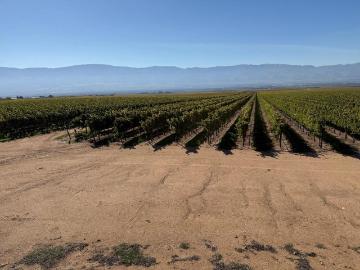 Monterey County, California, USA