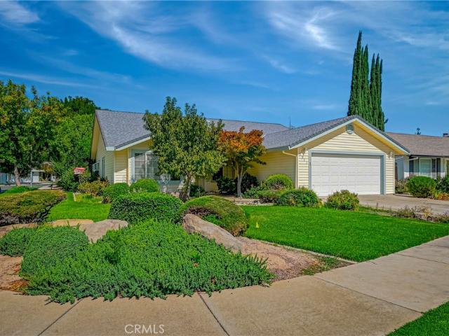 3311 Shamrock