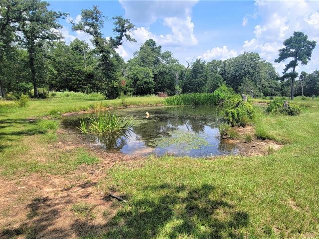 3321 County Road 457