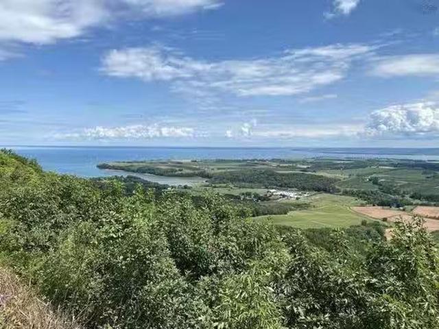 3335 358 Highway, Arlington, NS, B0P 1H0 vacant land for sal.