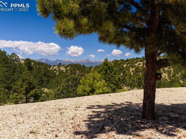 333 Della Fox Ln, Westcliffe, CO 81252 | MLS #2953