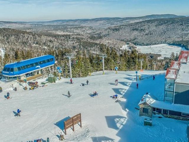 333 Mountain Ldg, Snowshoe, WV 26209