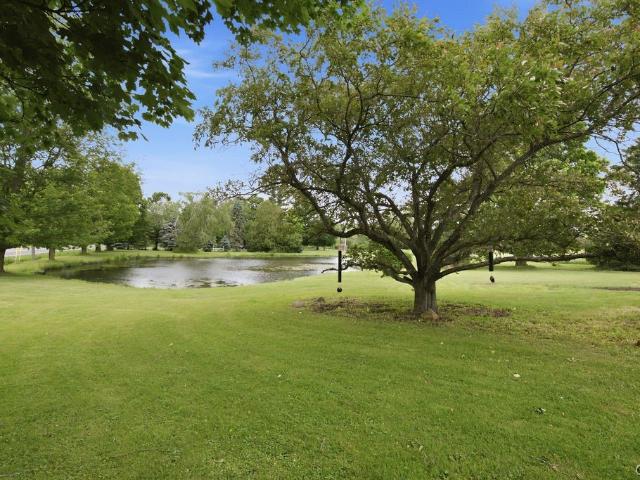 3342 Constine Bridge Road