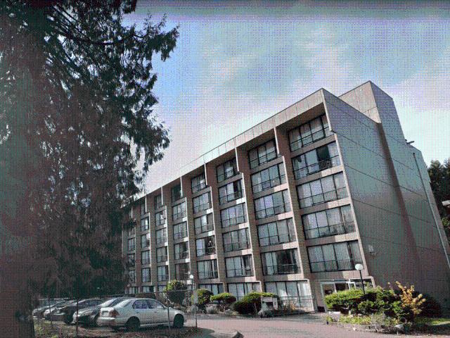 33433 Switzer Avenue — Bachelor