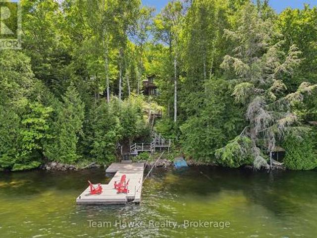 3359 Maple Ridge Road, Algonquin Highlands Mcclintock, ON, P0A 1E0 house for sale | Listing ID X13625 | Royal LePage