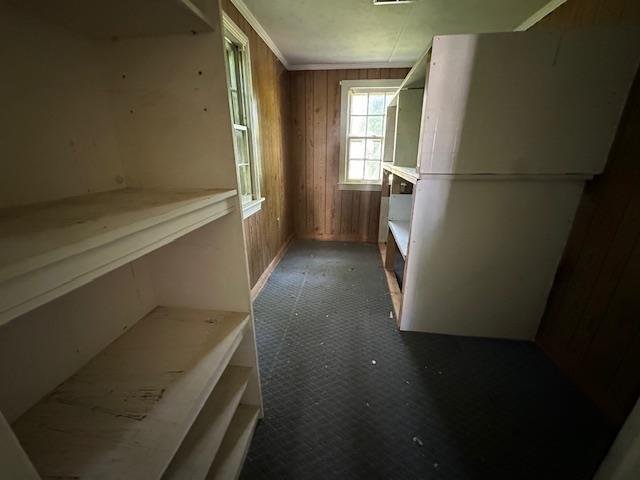 335 patterson rd