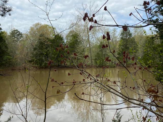 3365 County Road 153