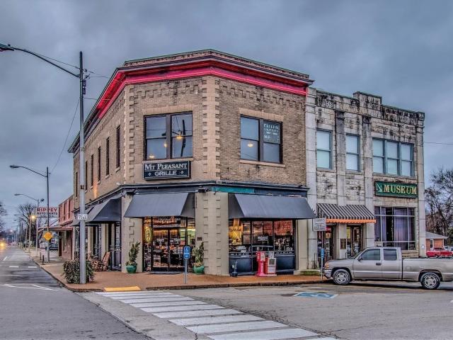 336 Black Bear Dr Mount, Pleasant, TN 38474 | MLS #3225
