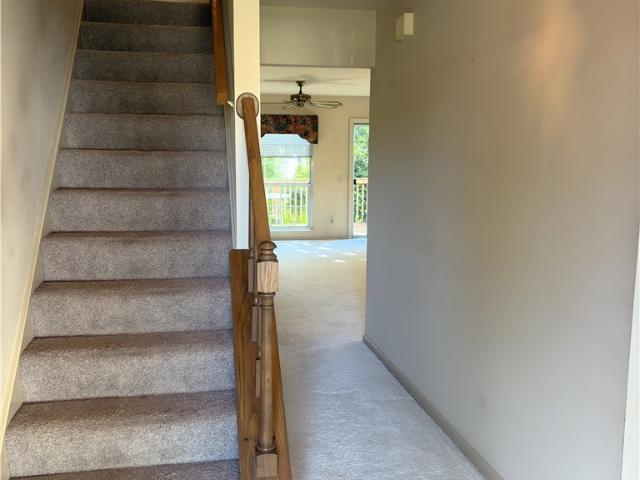 3375 Ash Lane
