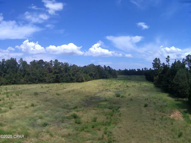 3376 Kynesville Rd, Cottondale, FL 32431 | MLS #778684