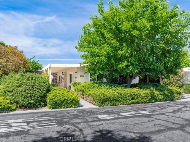 337 Lark Drive