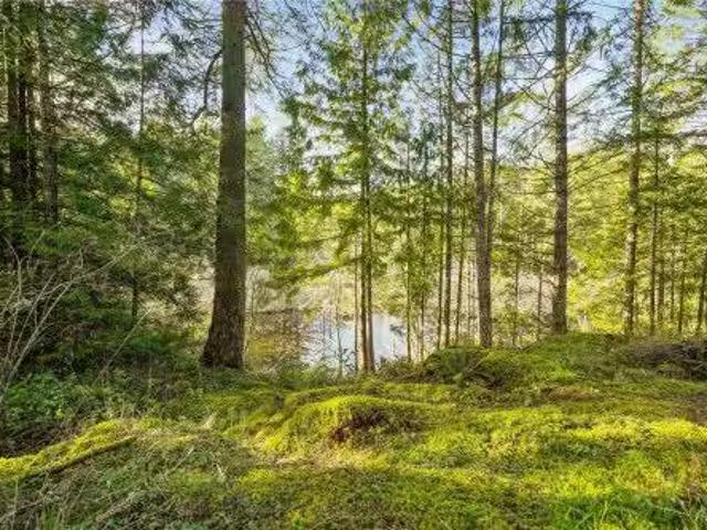 3383 Lakeridge Pl, Highlands, BC, V9E 1C8 house for sale Li.