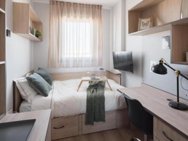 338 Dormitorio Apartamentos Málaga Málaga 105023594