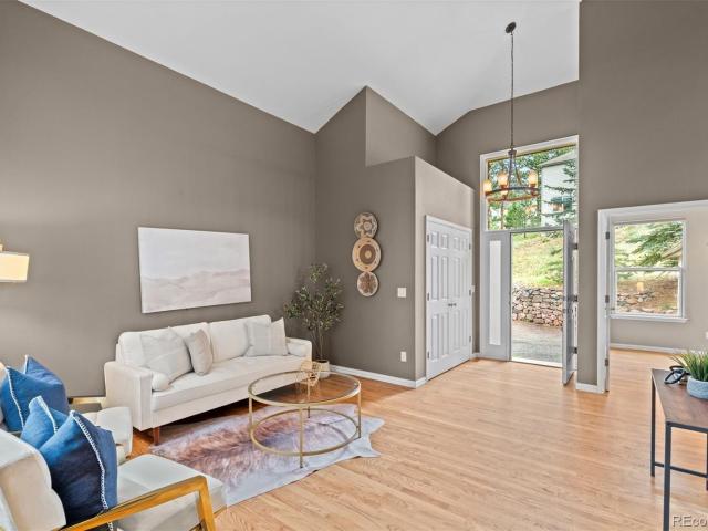 3396 White Bark Pine