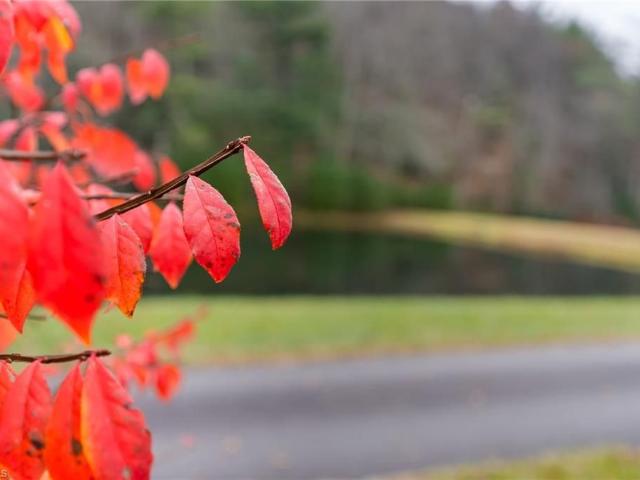 339 Stillhouse Branch Road, Laurel Springs, US, NC