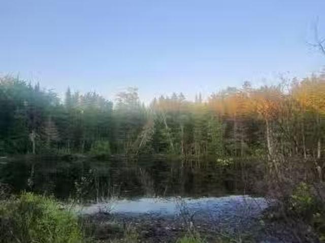 37.8 Hec Bettsburg Road, Bettsburg, NB, E9C 1L1 vacant land.