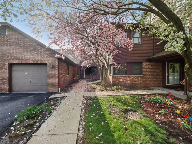 37 Terrace Lane # F