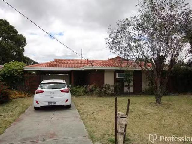 37 Wilfred Road, Thornlie, WA 6108
