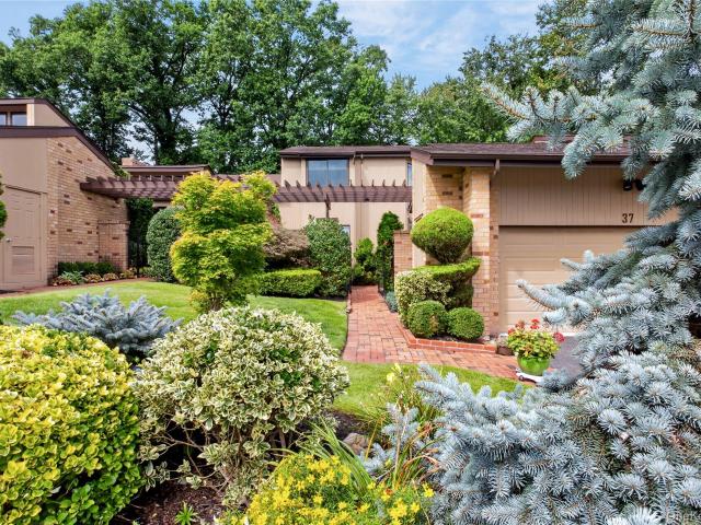 37 Woodland Drive