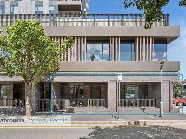 37 Centenary Street, NORTH ADELAIDE, SA 5006