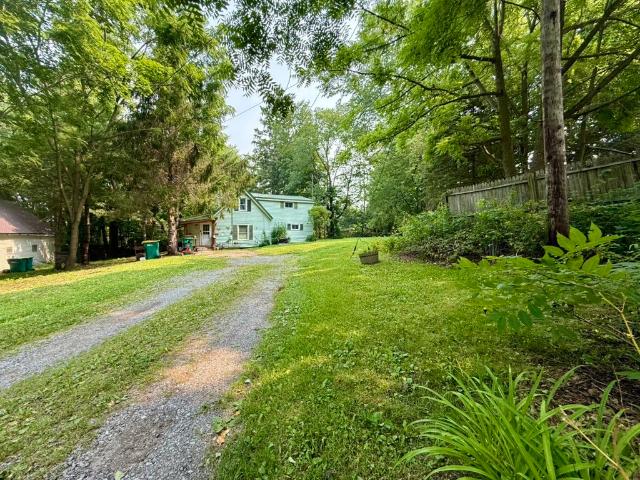 37 Dolbeer Street