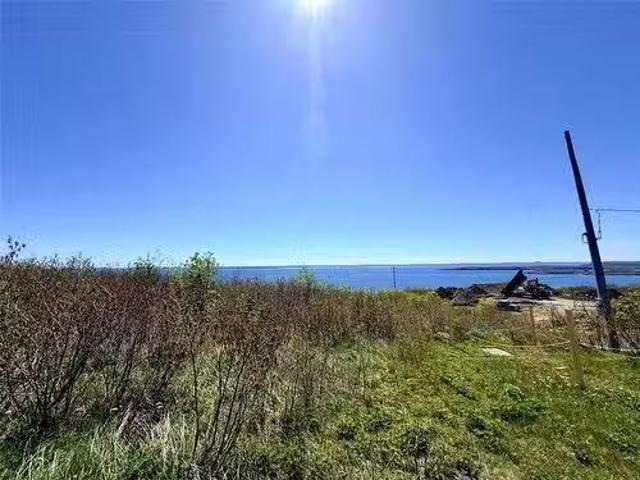 37 Drovers Road, Upper Island Cove, NL, A0A 4E0 vacant land.
