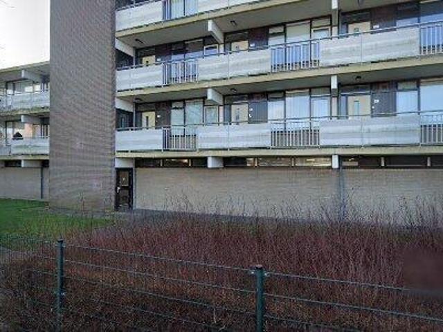 37 m2 apartment for rent in Velsen