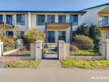 37 Nellie Hamilton Avenue, Gungahlin ACT 2912 Townhouse For Rent | Domain