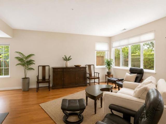 37 Silver Birch