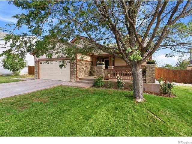 3405 Leopard Place