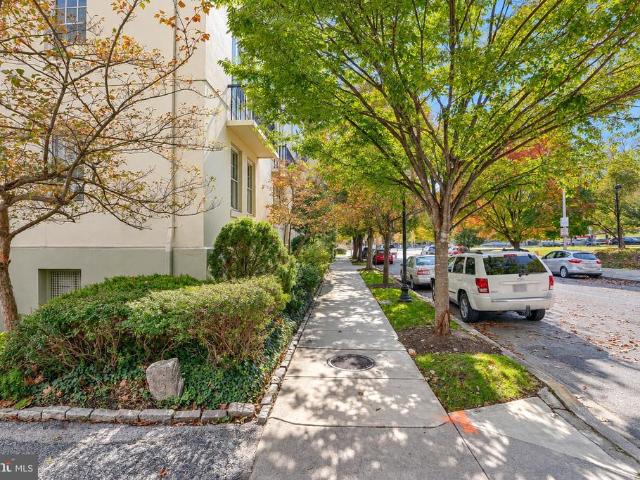 3401 Greenway # 302
