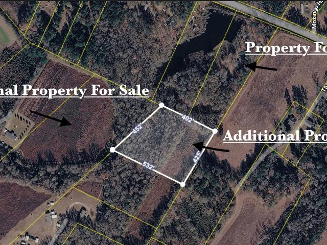 3401 Santee River Road