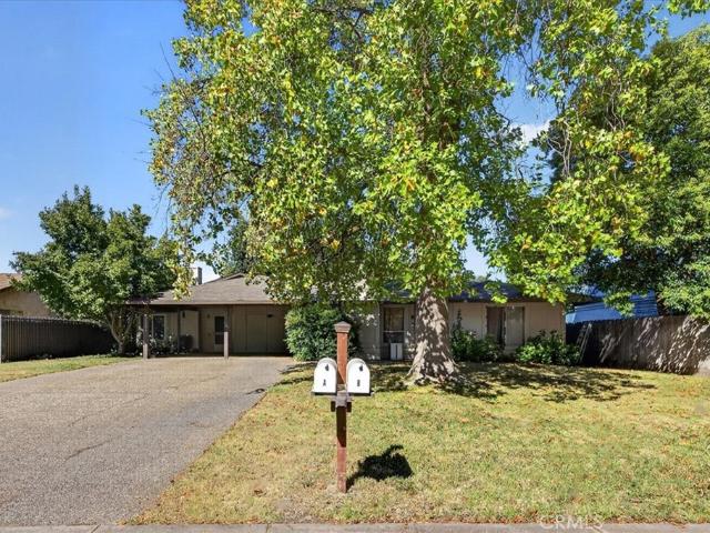 3403 Silverbell