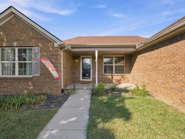 341 Palomino Drive