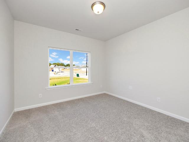 3426 Windmill Palm Drive