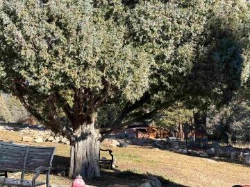 34237 Highway 550, Unit 27, Durango, CO 81301 | MLS #830668