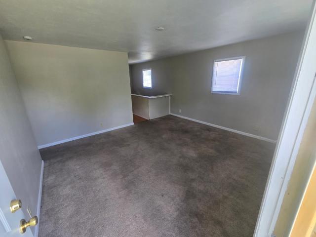 3423 Greendale Drive