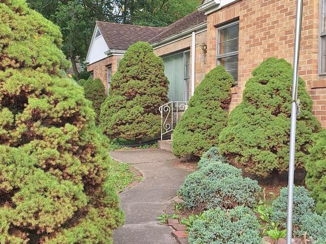 3434 Willowdale Road