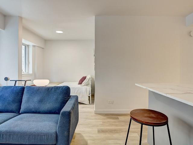 3445 Hutchison Studio Apartment for Rent at 3445 Rue Hutchison, Montréal, QC H2X 2G2 Milton Parc
