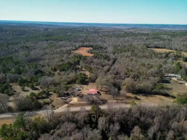 34655 COUNTY ROAD 49, BEAVERTON, AL 35544