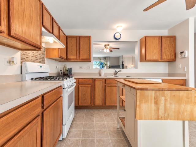 3463 Silver Leaf Drive