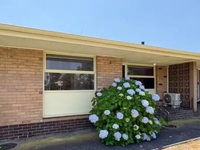 3/46 Ipsen Street, MANJIMUP, WA 6258 Flat for Rent