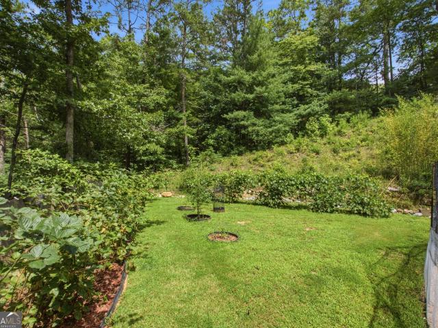 346 Watkins Field Road